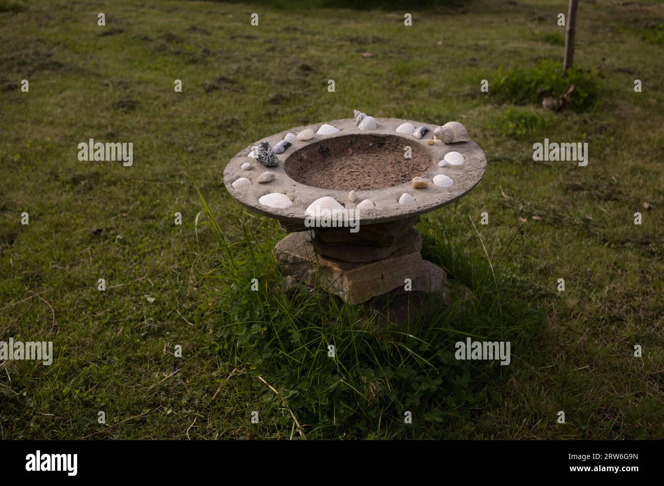 Stone bird bath on lawn Stock Photo