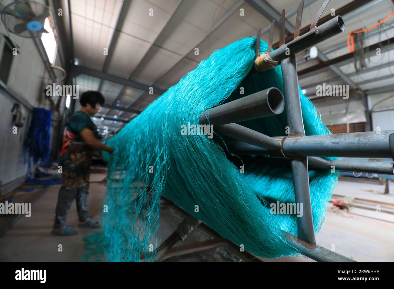The workers are working hard on the weaving line in a processing plant ...