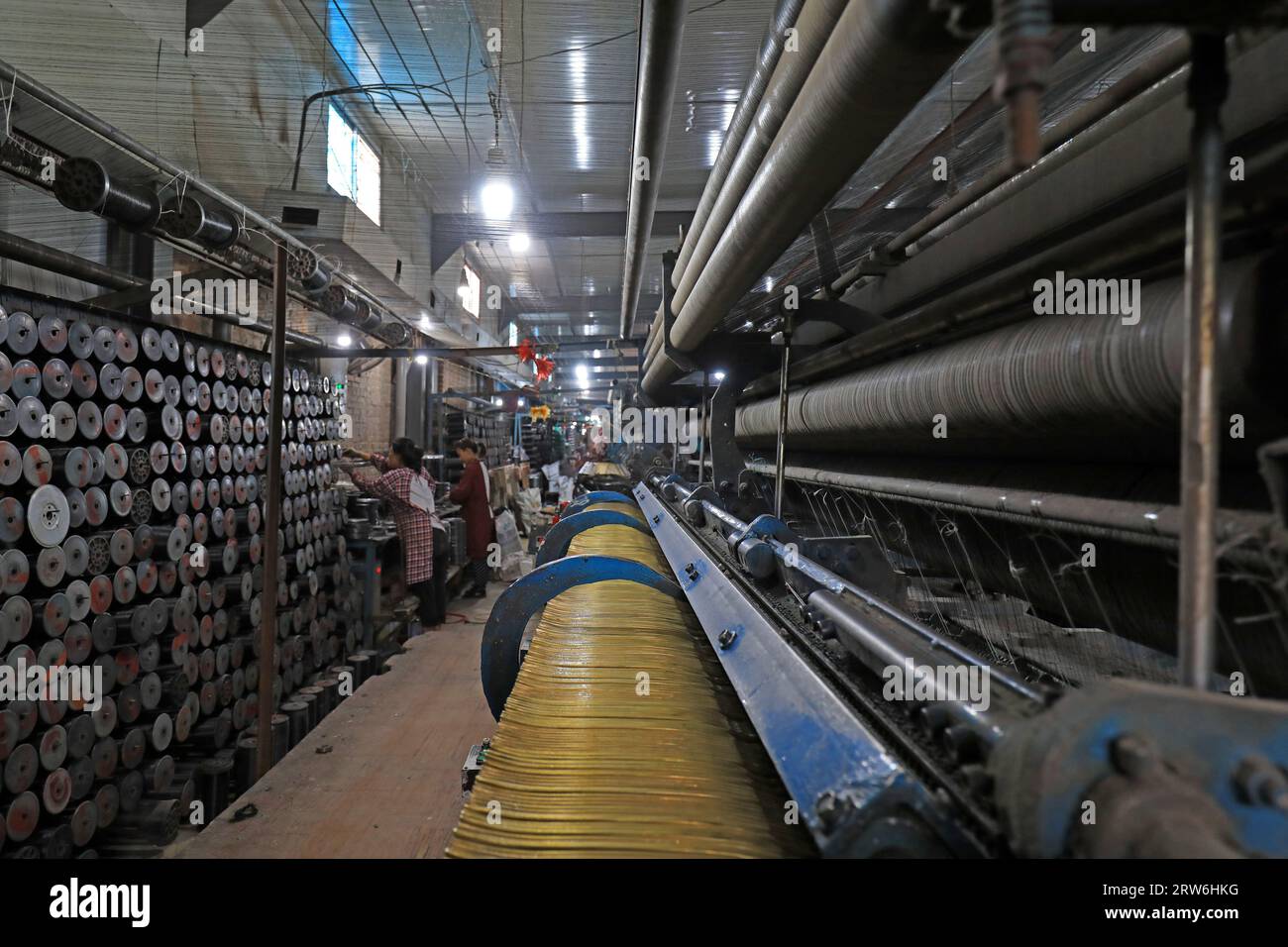 The workers are working hard on the weaving line in a processing plant ...