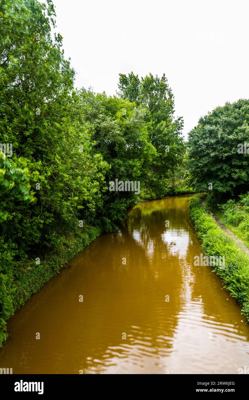 Shady part of the Trent and Mersey Canal, Kidsgrove, Newcastle-under-Lyme. The water is orange because if clay deposited in the Harecastle Tunnel, por Stock Photo