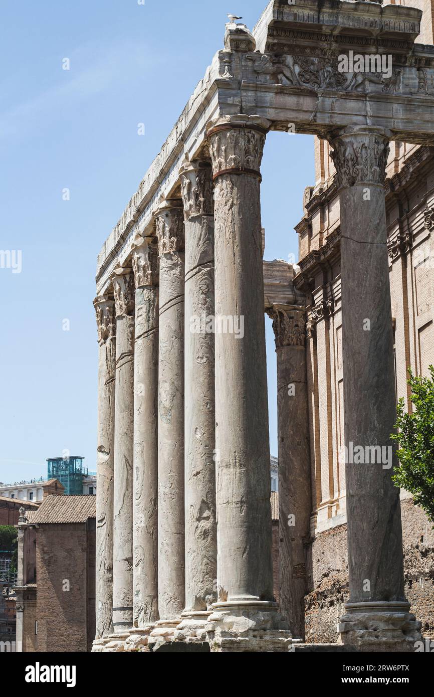 Ancient ruins of pillars in Rome Stock Photo Alamy