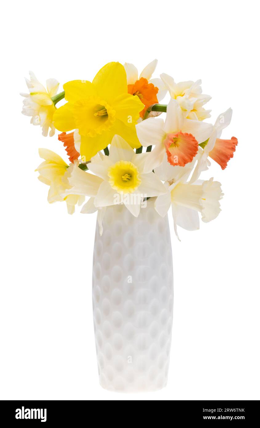 beautiful bouquet of daffodils isolated on white background Stock Photo ...