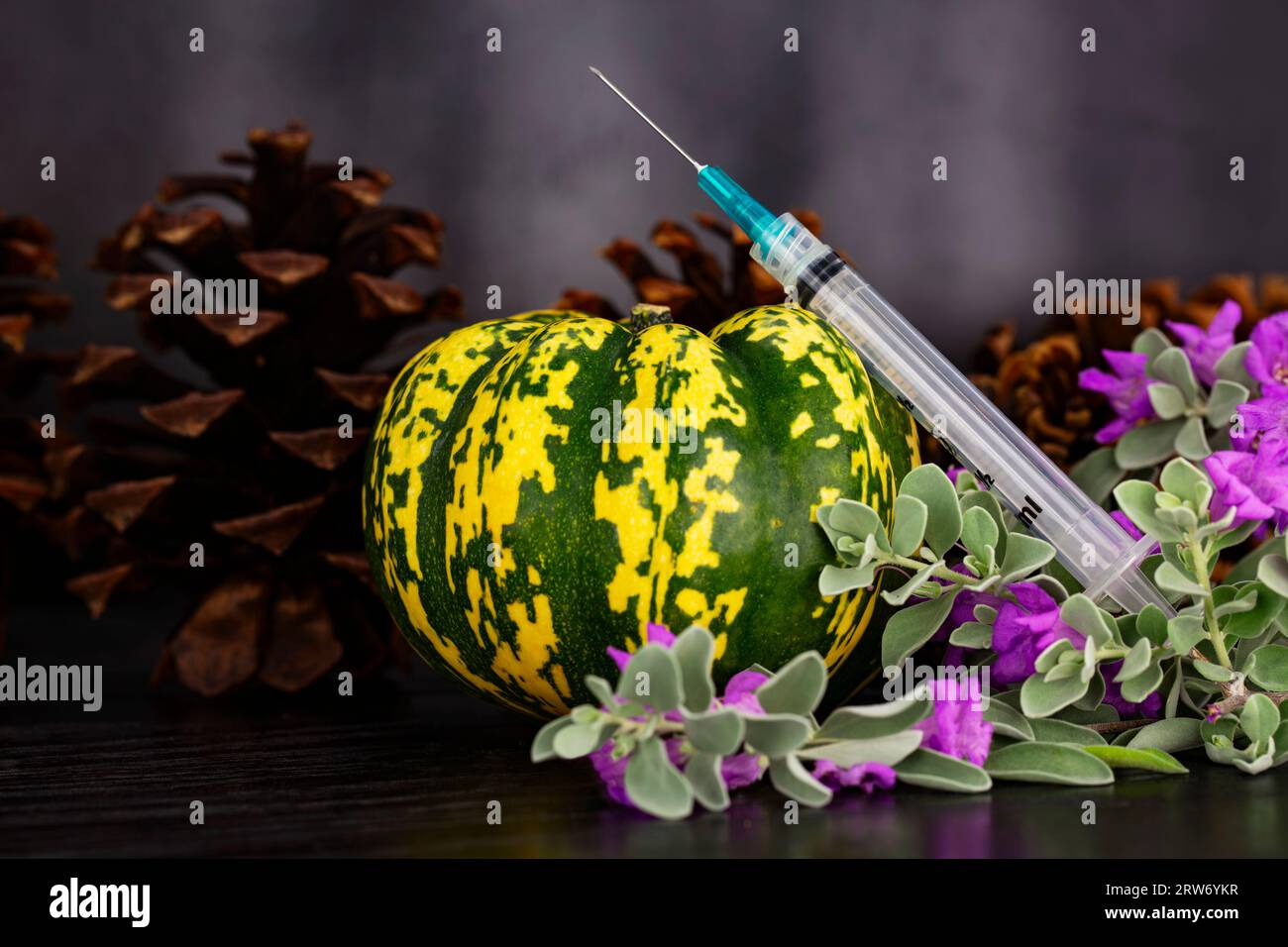 Autumn update in immunizations and vaccines seen in syringe placed with autumn squash, pine cones, and purple Texas Ranger flowers on dark wood backgr Stock Photo