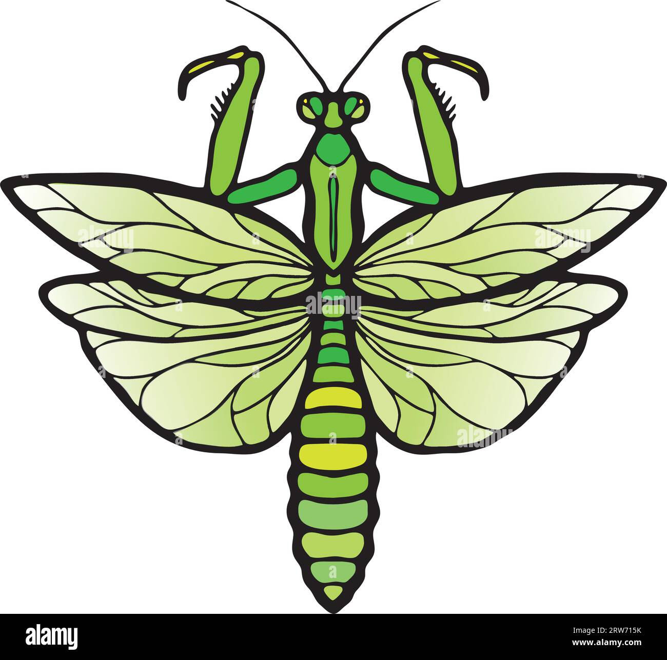 Intricate, symmetrical stylized mantis in shades of green draws inspiration from Art Nouveau and Gothic stained glass. Stock Vector