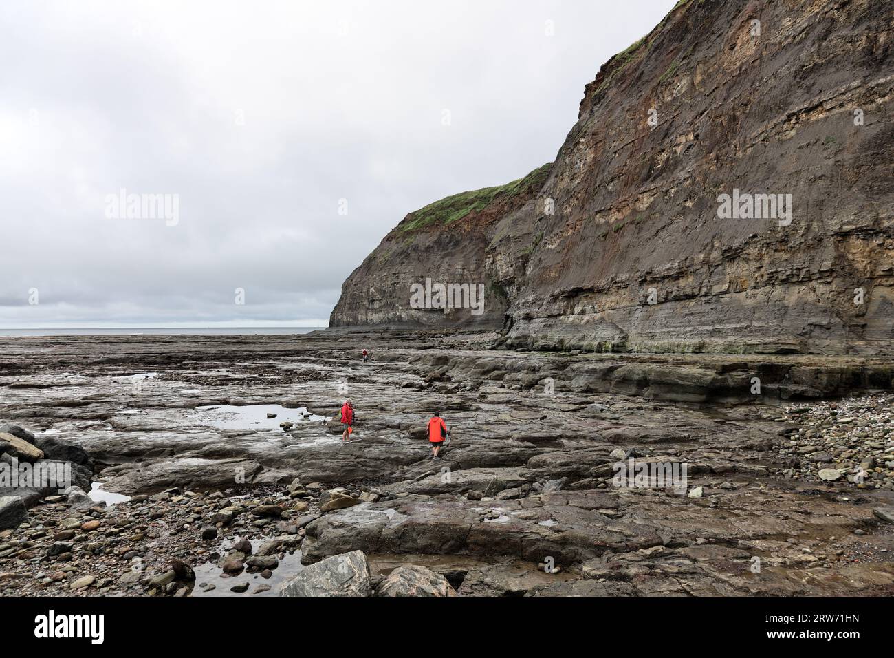 People Exploring the beach at Staithes on a rainy ray, a popular location for rock pooling and fossil hunting, North Yorkshire, UK Stock Photo