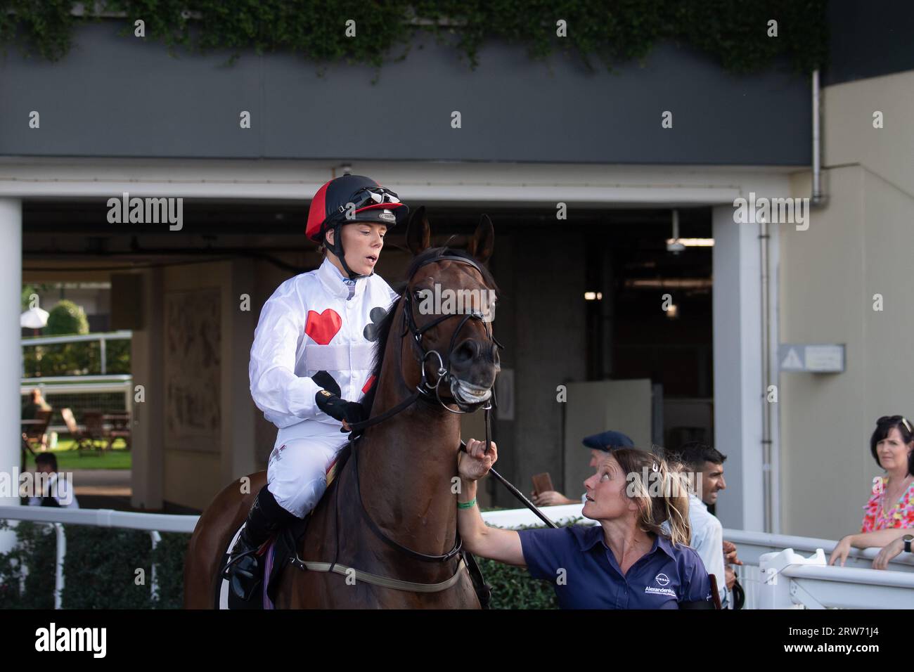 Ascot, Berkshire, UK. 9th September, 2023. Horse Acklam Express ridden by jockey Faye McManoman heads out onto the racetrack at Ascot Racecourse for the National Racehorse Week Handicap Stakes. Credit: Maureen McLean/Alamy Stock Photo