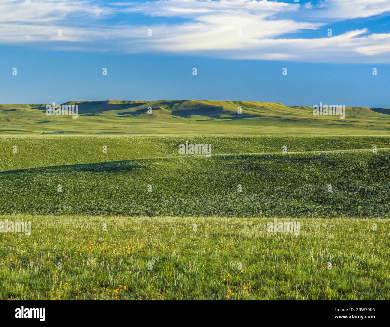 prairie hills near choteau, montana Stock Photo