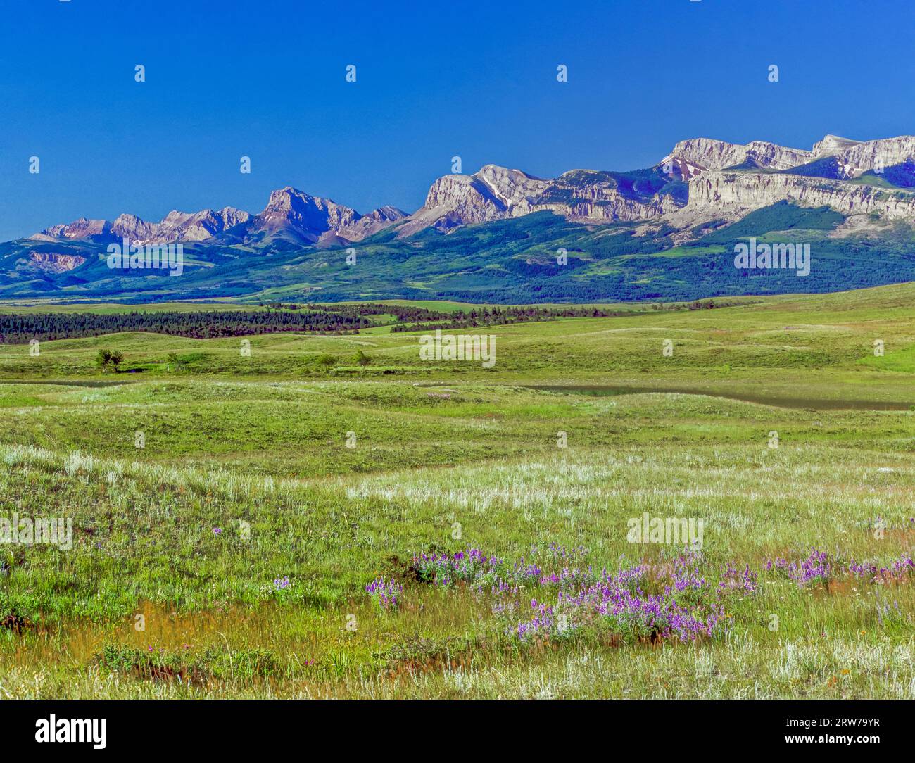rocky mountain front and prairie in the birch creek area near heart butte, montana Stock Photo