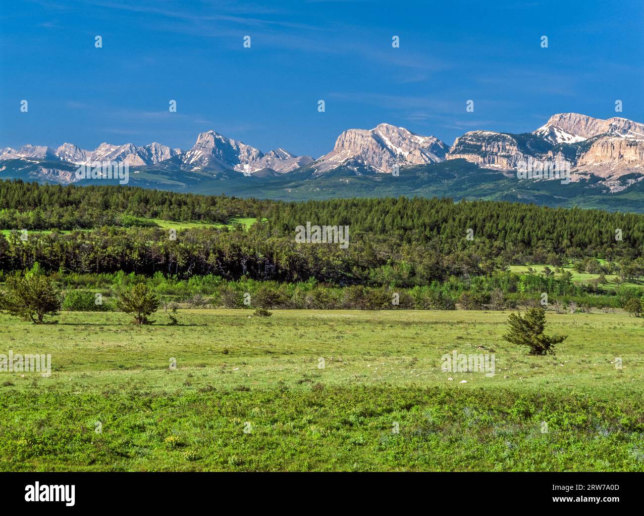 rocky mountain front above foothills in the birch creek area near heart butte, montana Stock Photo