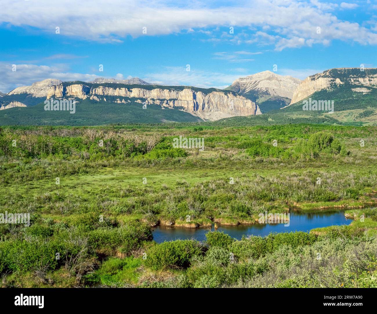 wetlands below the rocky mountain front at blackleaf canyon near bynum, montana Stock Photo