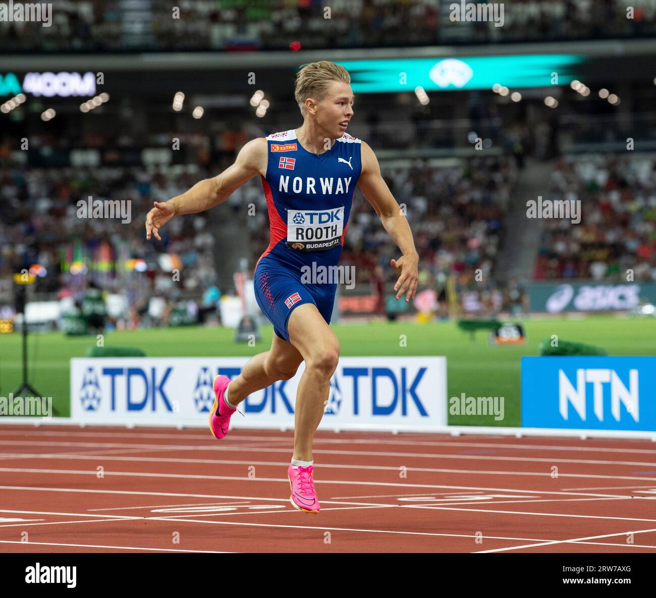 Rooth hires stock photography and images Alamy