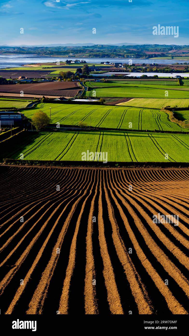 Ploughed Fields and Spring Greens at Scrabo, Strangford Lough, County Down, Northern Ireland Stock Photo