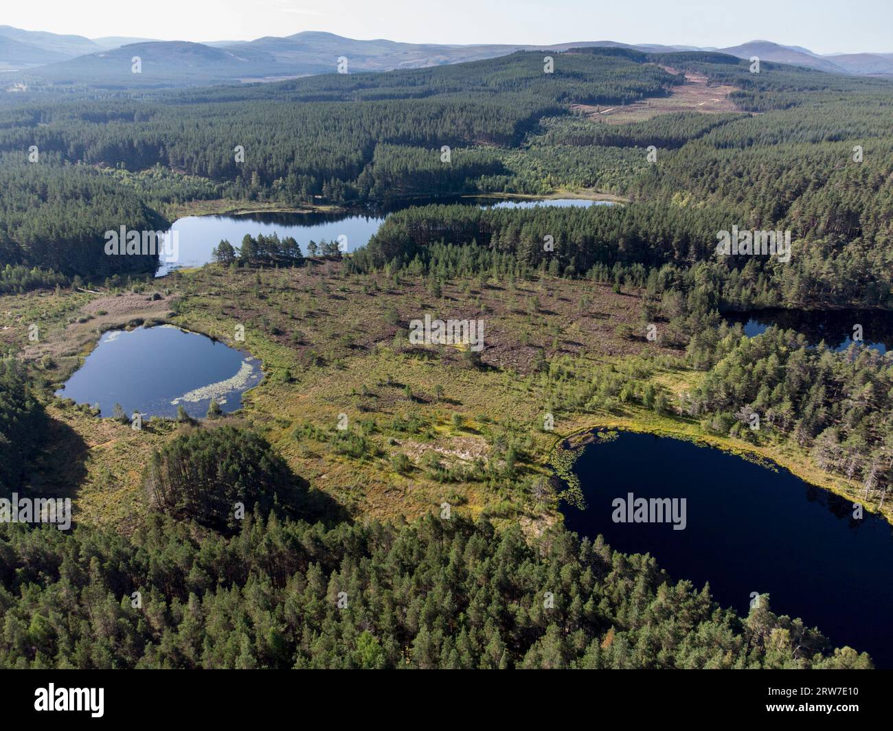 Uath Lochans and Inshriach Forest Cairngorms national park Scotland Stock Photo