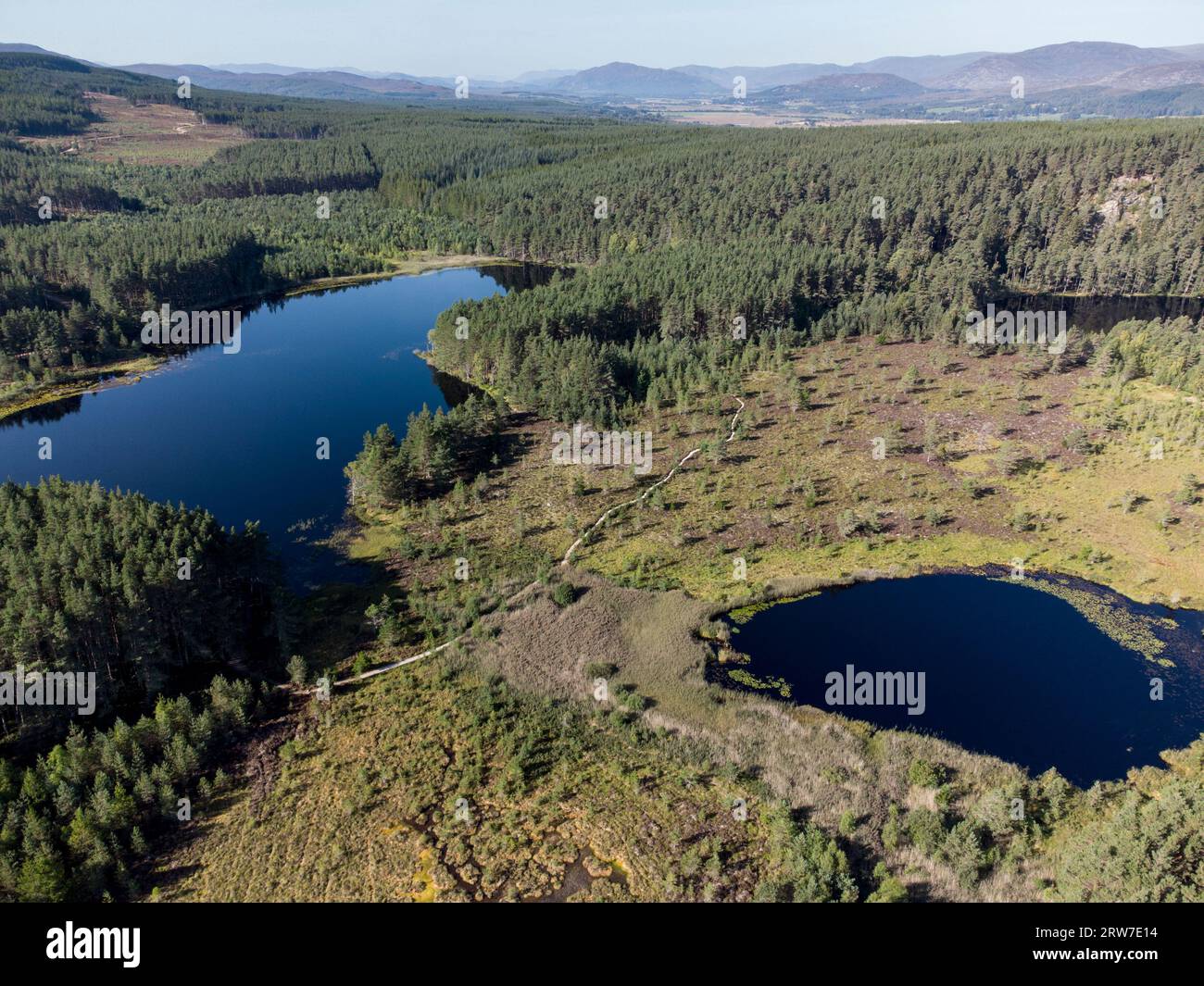 Uath Lochans and Inshriach Forest Cairngorms national park Scotland Stock Photo