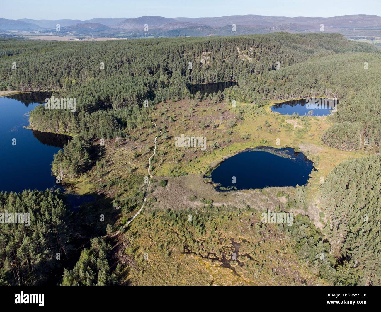 Uath Lochans and Inshriach Forest Cairngorms national park Scotland Stock Photo