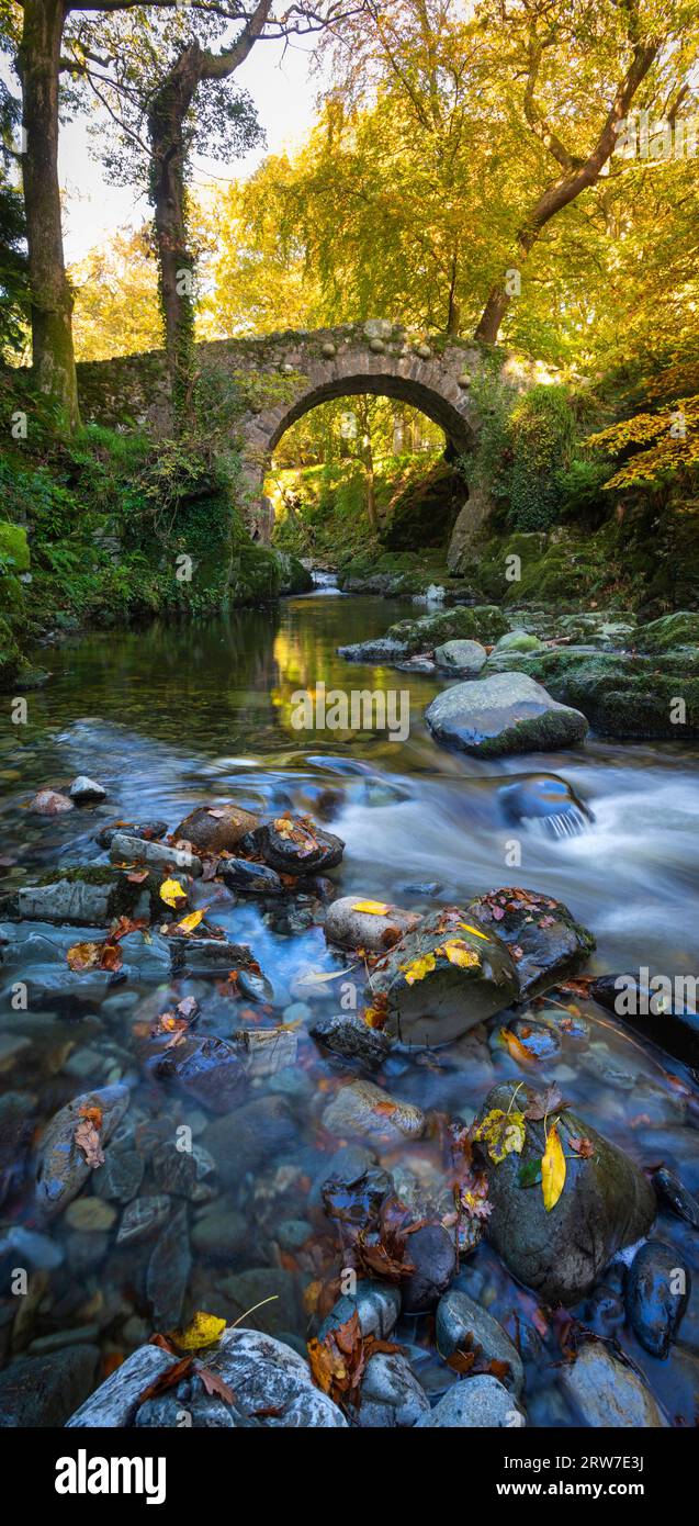 Foley's Bridge on the river Shimna, Tollymore Forest Park, County Down, Mountains of Mourne, Northern Ireland Stock Photo