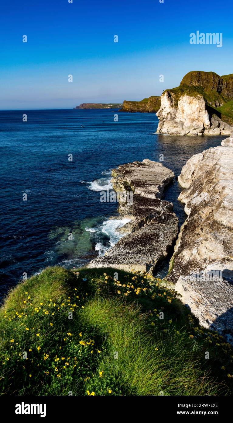 The Giants Head at White Rocks, causeway coastal route, County Antrim, Northern Ireland Stock Photo