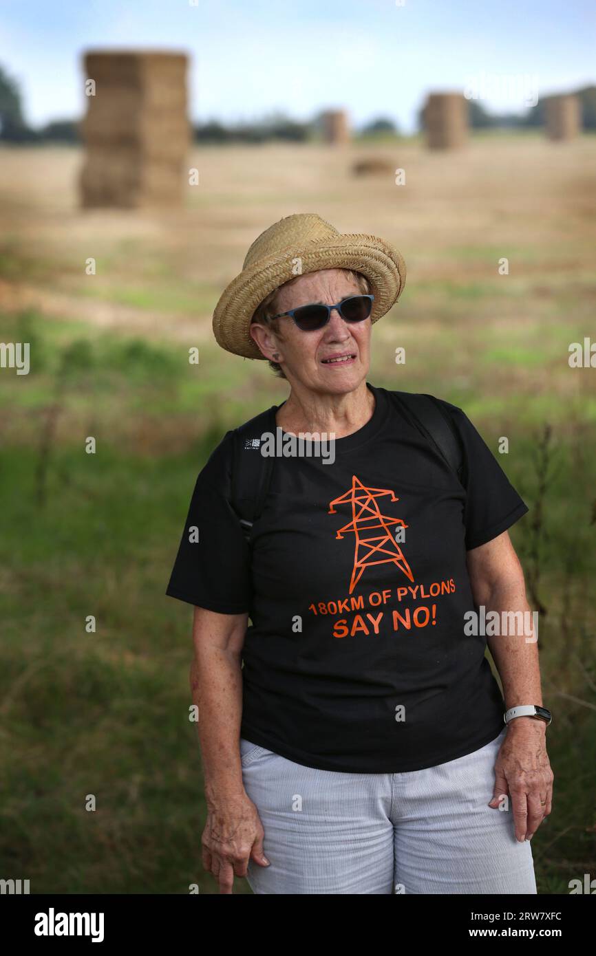 A protester wearing a tshirt saying ‘180km of pylons Say No' stands in front of a rural scene