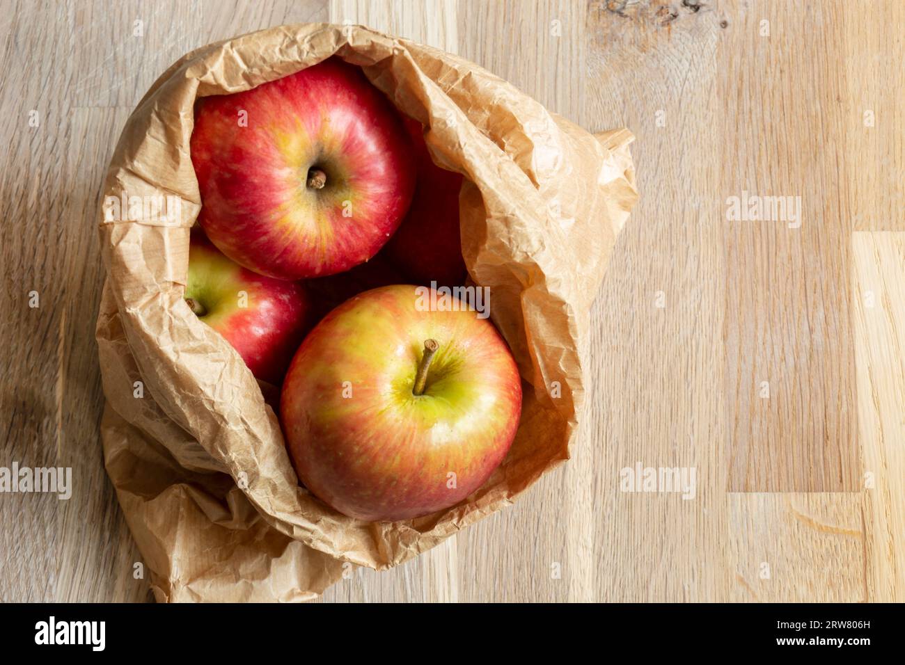 Red Paper Bagged Qinguan Apples - China Apple, FUJI Apple