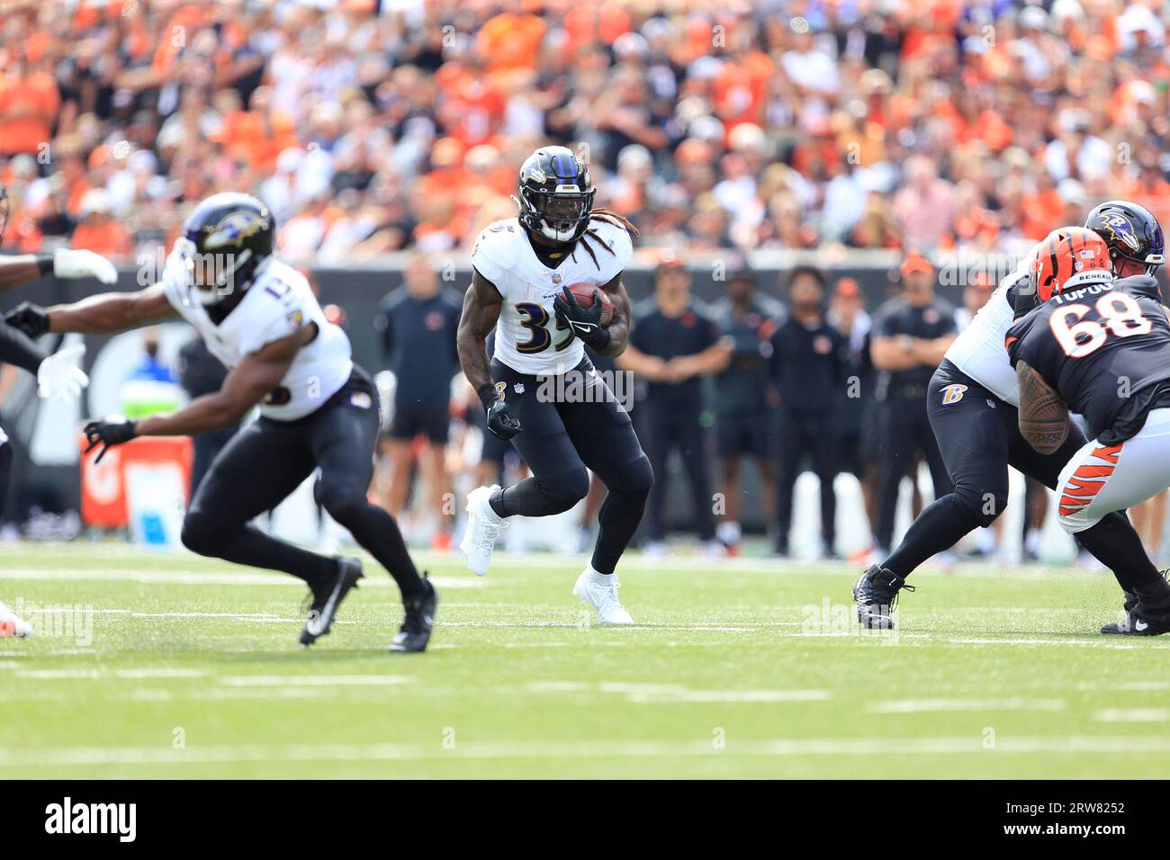 Bengals ravens hi-res stock photography and images - Alamy