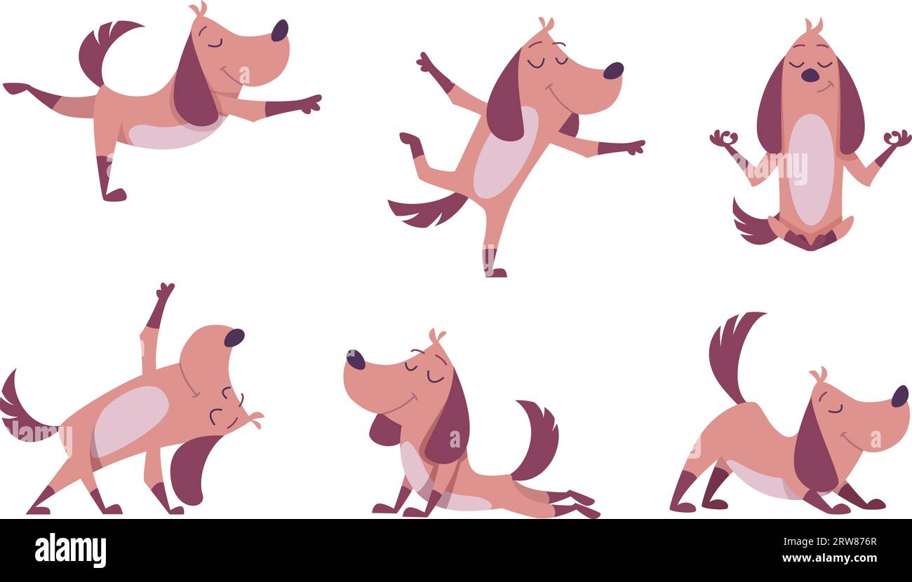 Funny dog. Domestic happy animal making yoga or fitness exercises exact ...