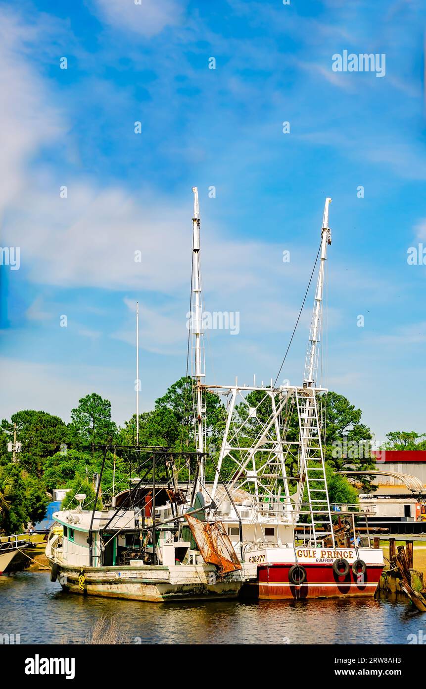Shrimp boats are pictured, May 2, 2023, in Bayou La Batre, Alabama. The