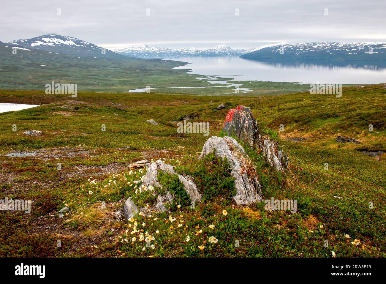 Padjelanta hiking trail between Laddejahka and Gisuris mountain huts, early July, Sweden Stock Photo