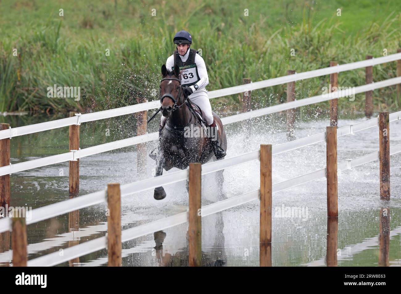 Ben Way riding Gun Law in the CCI-S 4* during the Blenheim Palace International Horse Trials at Blenheim Palace, Woodstock, Oxfordshire on Sunday 17th September 2023. (Photo: Jon Bromley | MI News) Credit: MI News & Sport /Alamy Live News Stock Photo
