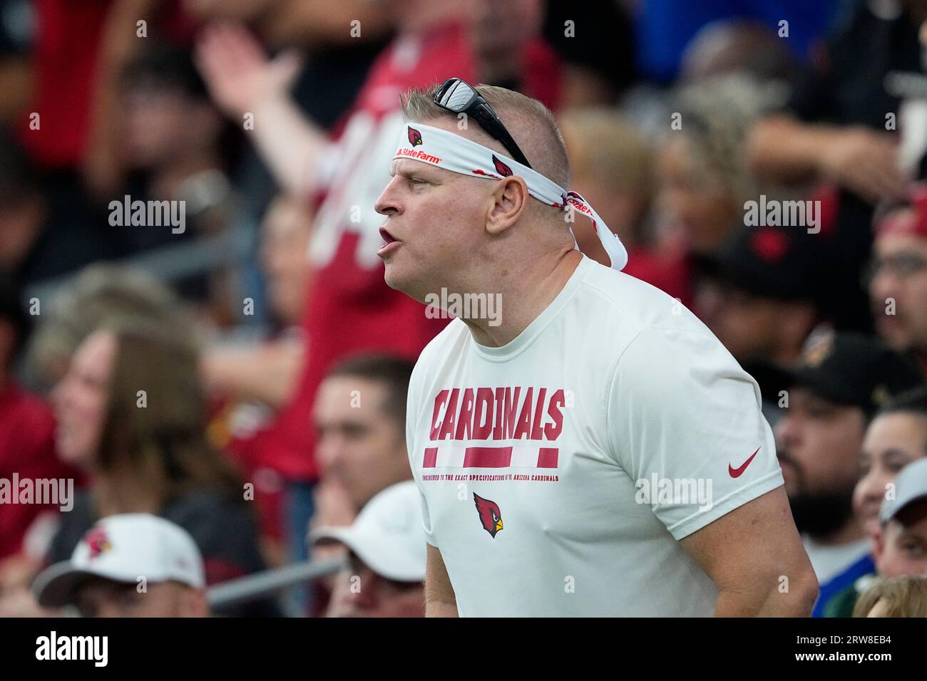 Cardinals, 49ers, fans react to teams sharing Glendale stadium.