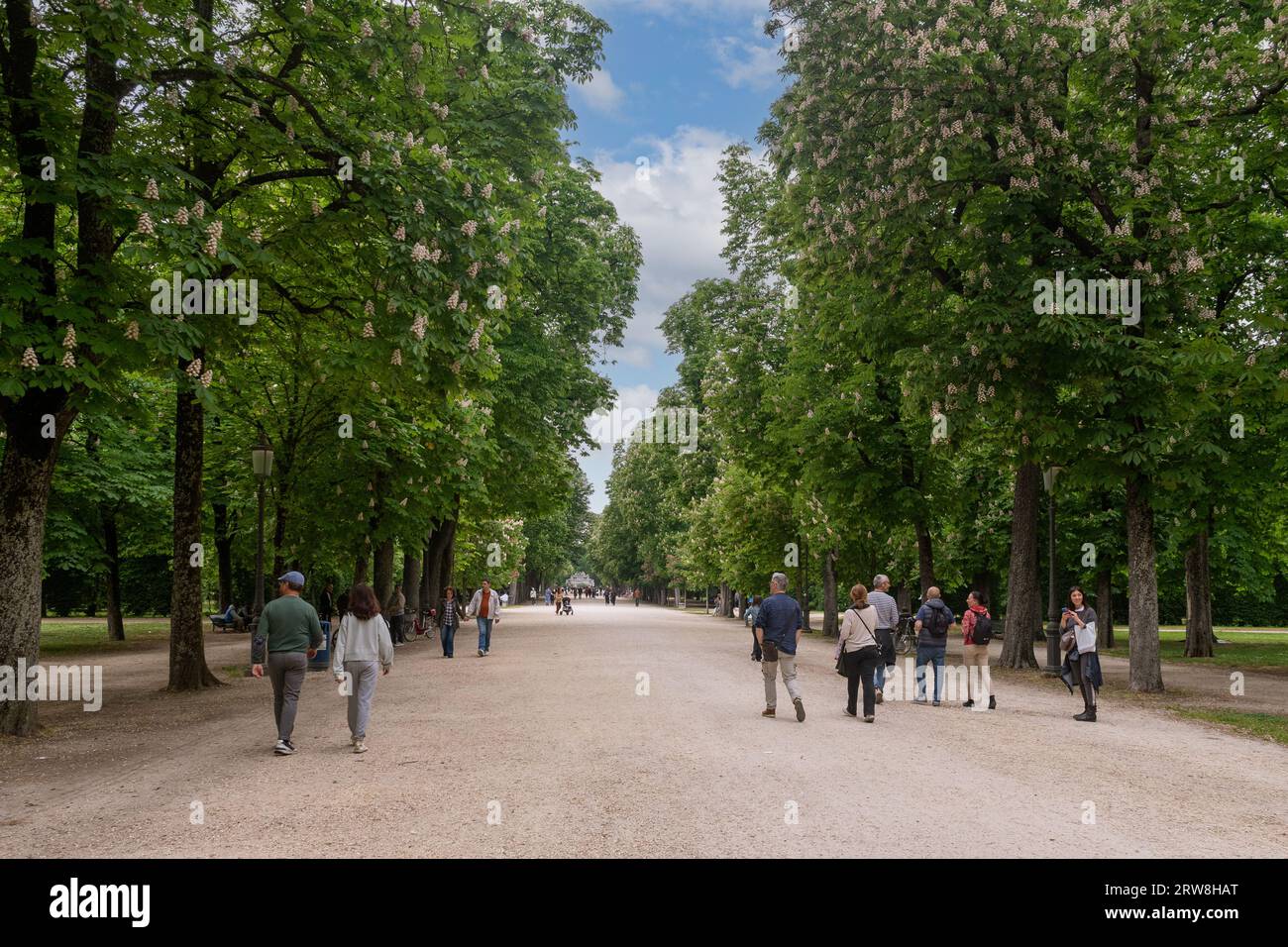 Parco Ducale historic park (16th century), with people walking in the main avenue lined with horse chestnuts in spring, Parma, Emilia-Romagna, Italy Stock Photo