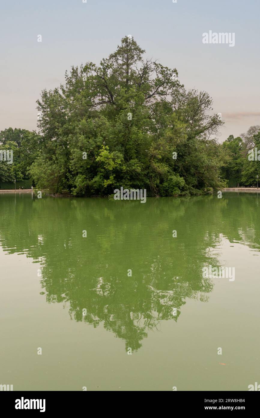 The pond ('Peschiera') of the Ducal Park (1561), with the small tree-covered island in the middle in spring at sunset, Parma, Emilia-Romagna, Italy Stock Photo