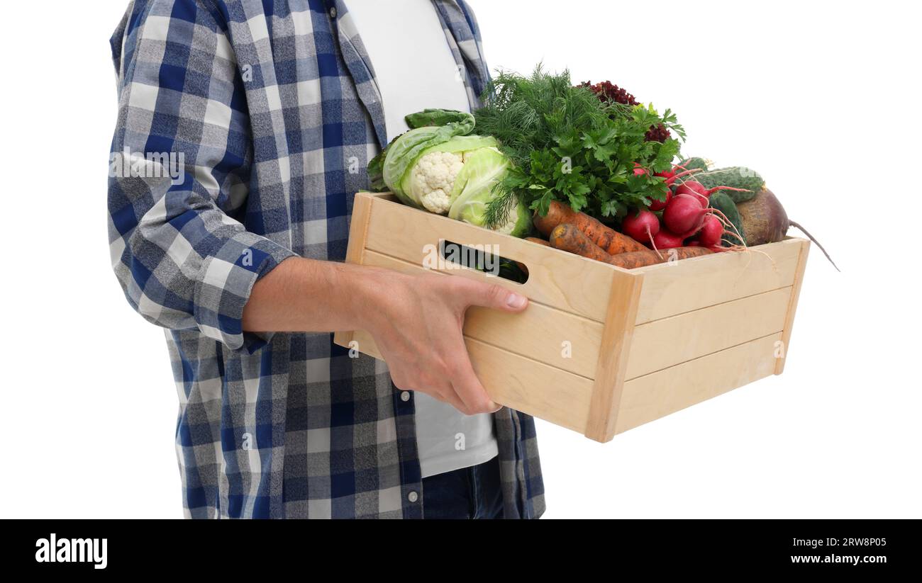 Harvesting season. Farmer holding wooden crate with vegetables on white ...