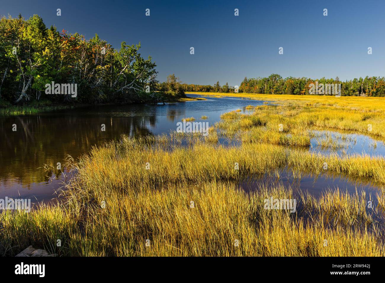Syble Marsh Simon marsh hi-res stock photography and images - Alamy