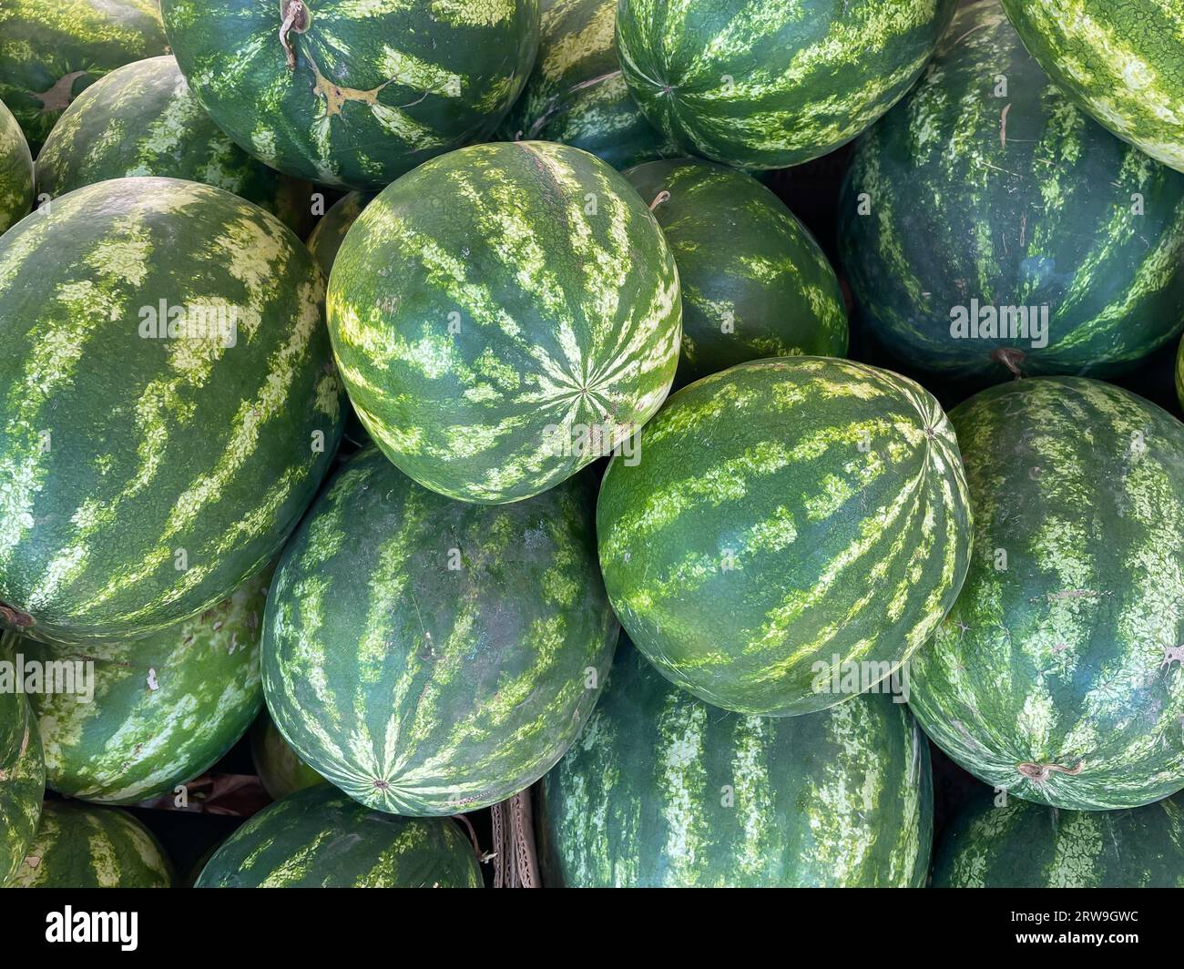 a lot of watermelons berry food vitamins healthy nutrition as a