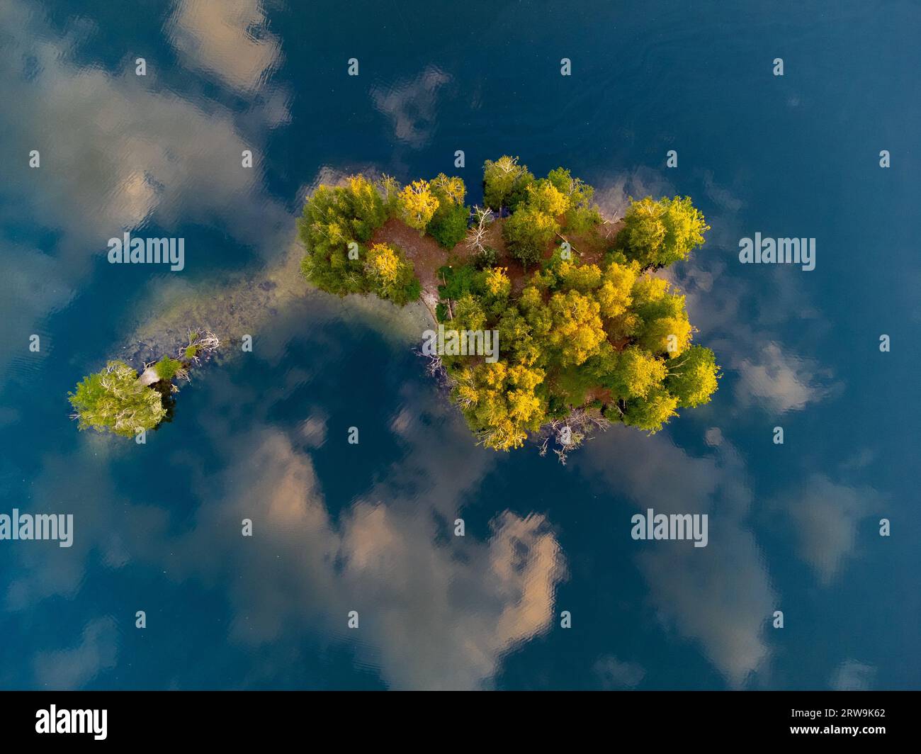 An aerial view of a tranquil lake surrounded by lush trees and dotted ...