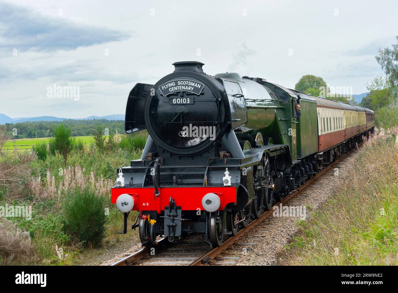 The Flying Scotsman running on Strathspey Railway between Aviemore and Broomhill during it’s Centenary excursion to Scotland, Uk Stock Photo