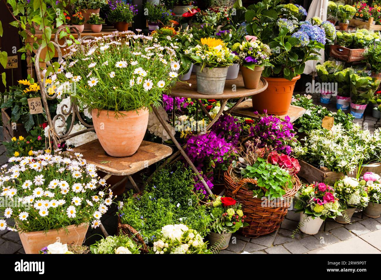 Blumenlstand auf der Strasse, Flower-shop on the street with a lot of different flowers Stock Photo