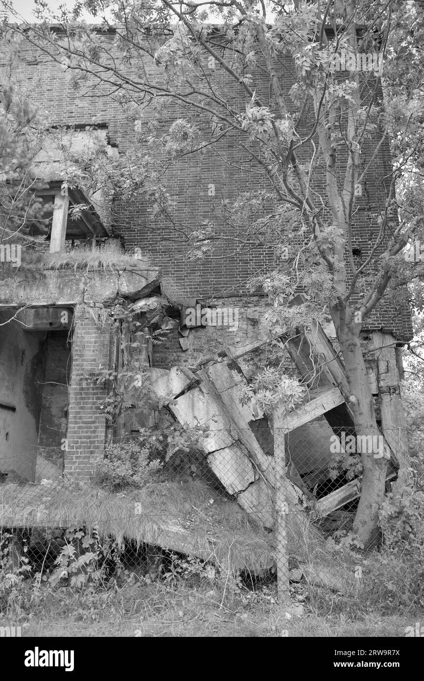 Oxygen factory ruins in Peenemuende, Usedom Island, Mecklenburg-Western Pomerania Stock Photo