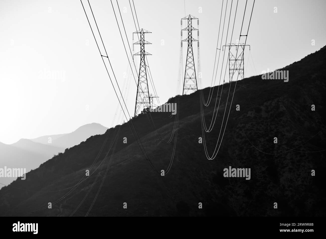 Power poles in the sunset, Los Angeles, California, USA Stock Photo