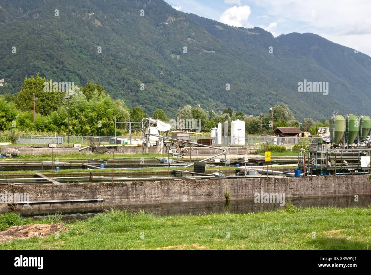 Trout farming in the north of Italy, business Stock Photo