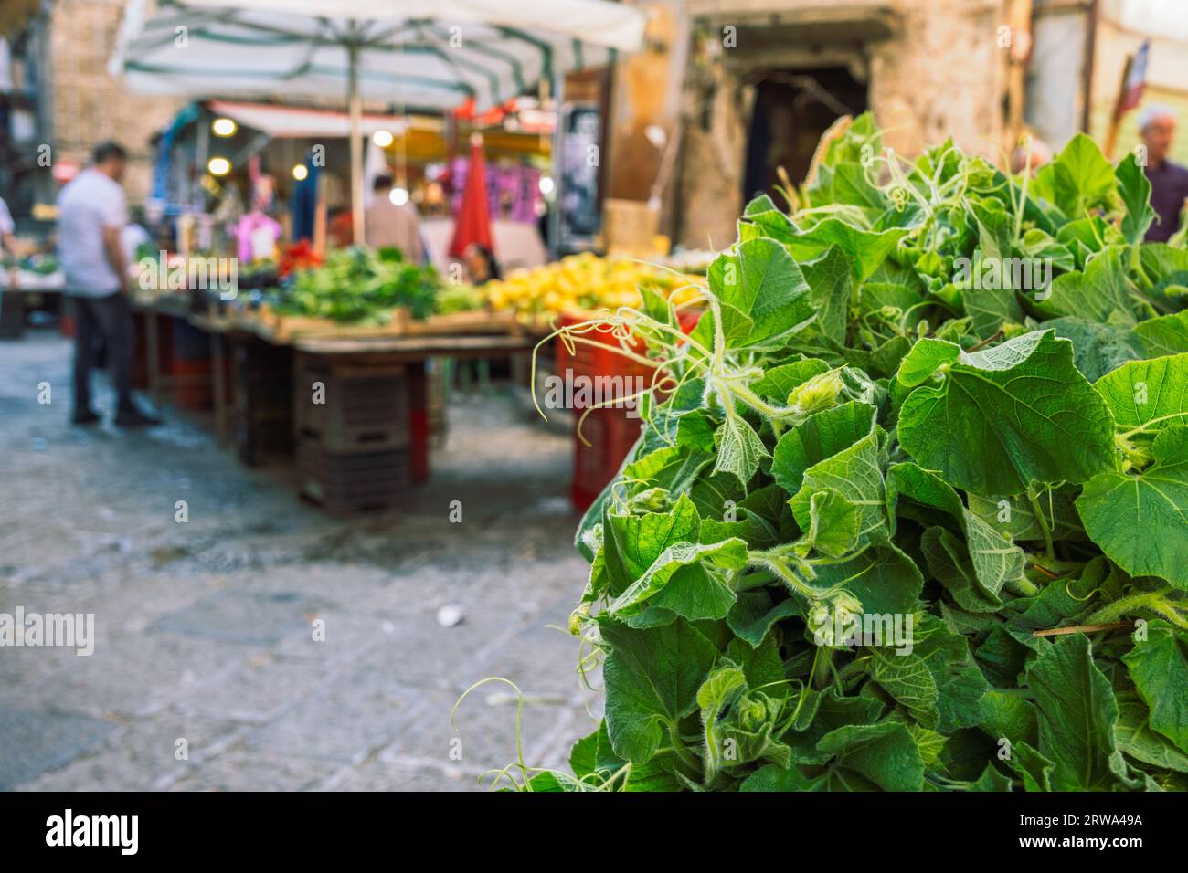 Tenerumi, leaves and tender shoots of the long squash plant cucuzza on Palermo market Stock Photo