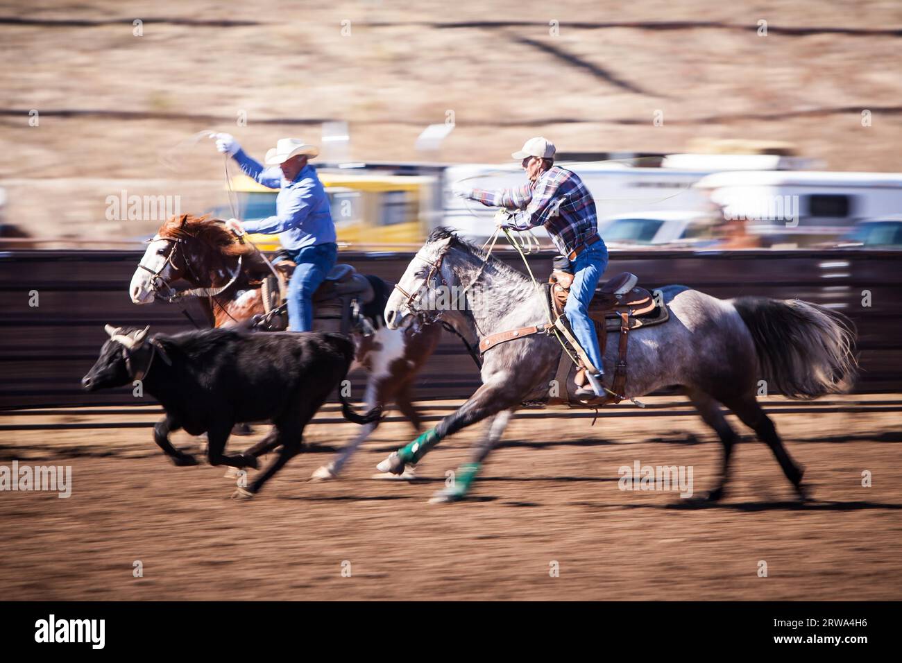 Wickenburg, USA, February 5, 2013: Riders compete in a team roping competition in Wickenburg, Arizona, USA Stock Photo