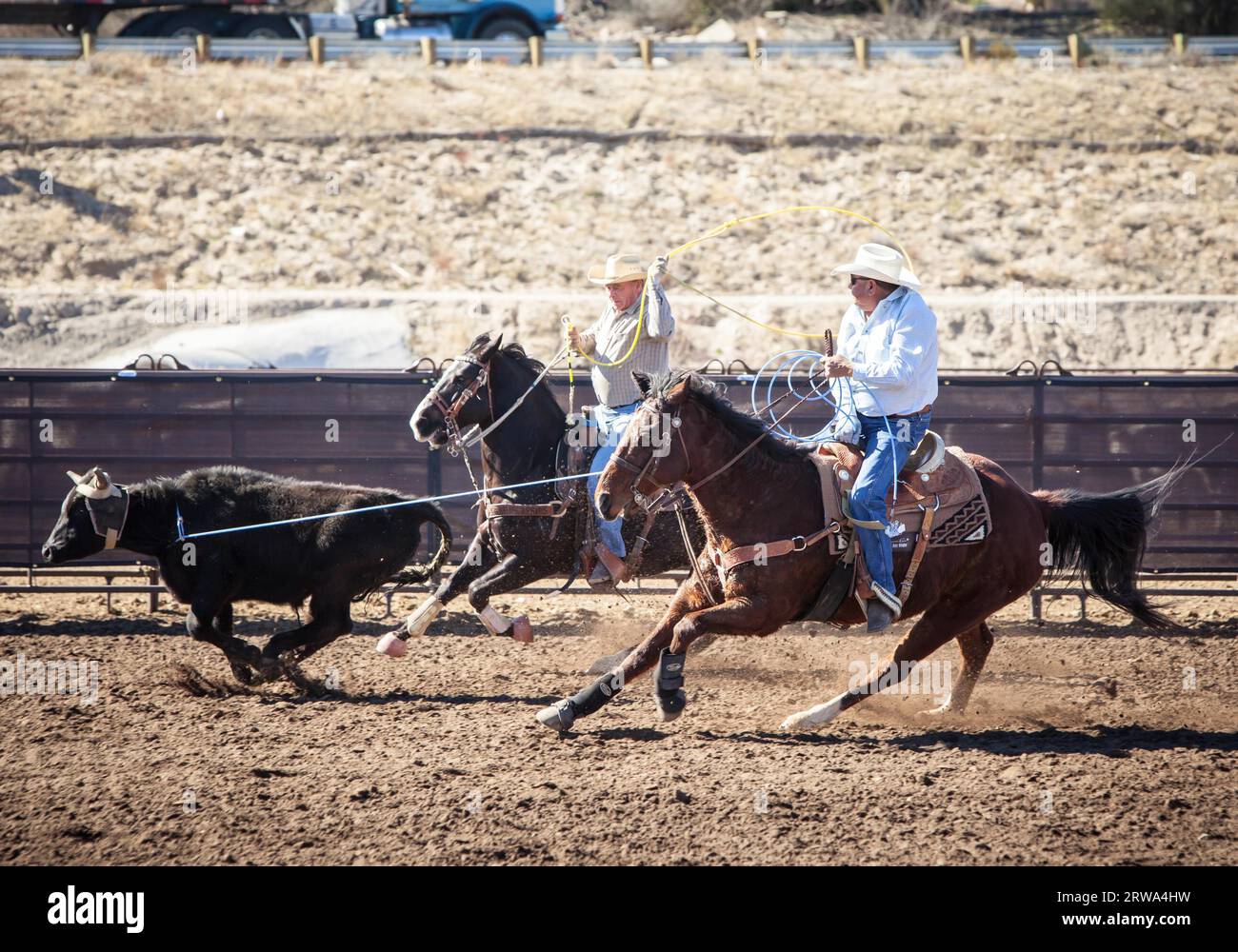 Wickenburg, USA, February 5, 2013: Riders compete in a team roping competition in Wickenburg, Arizona, USA Stock Photo