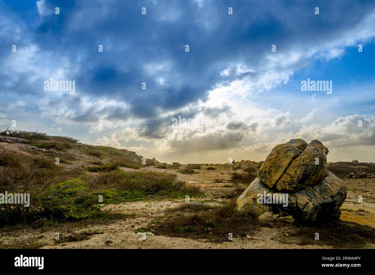 Dry and arid desert landscape with rocks and native plants in Aruba Island at the Caribbean sea Stock Photo