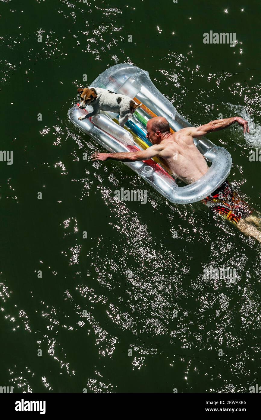 Looking down on a man paddling on a inflatable raft with a gog on the Russian River, Monte, Rio, California. Stock Photo