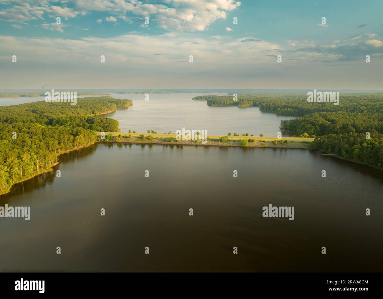 An aerial view of a tranquil lake surrounded by trees and lush greenery ...