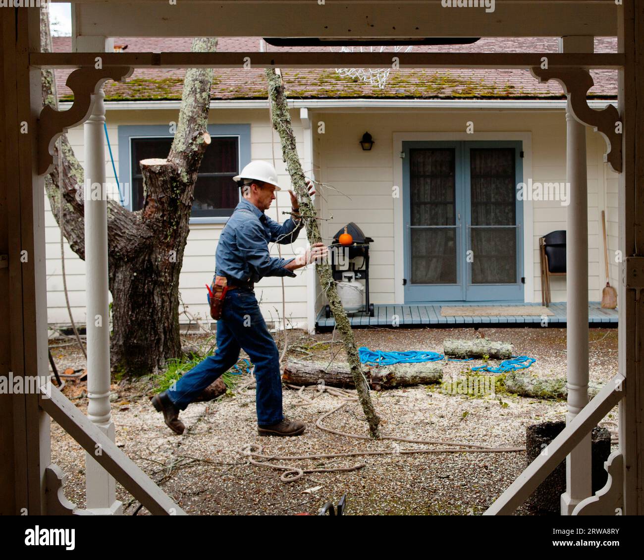 A man moves the branch of a tree he just cut down Stock Photo - Alamy