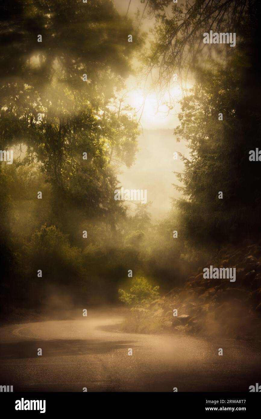 Soft focus road hi-res stock photography and images - Alamy