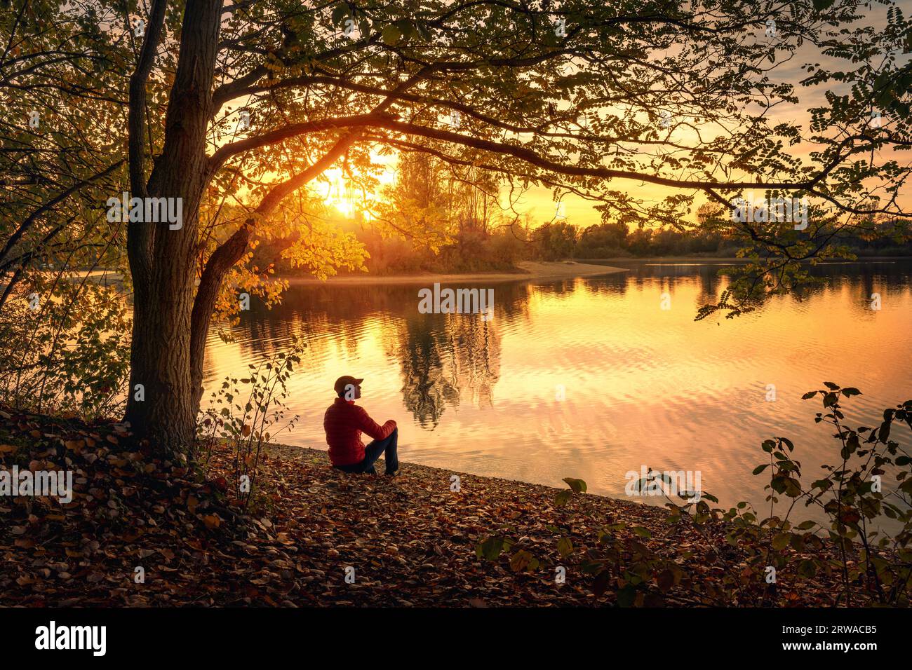 Man sitting under a tree and enjoying a tranquil beautiful sunset at a lake alone, with warm glowing colors Stock Photo