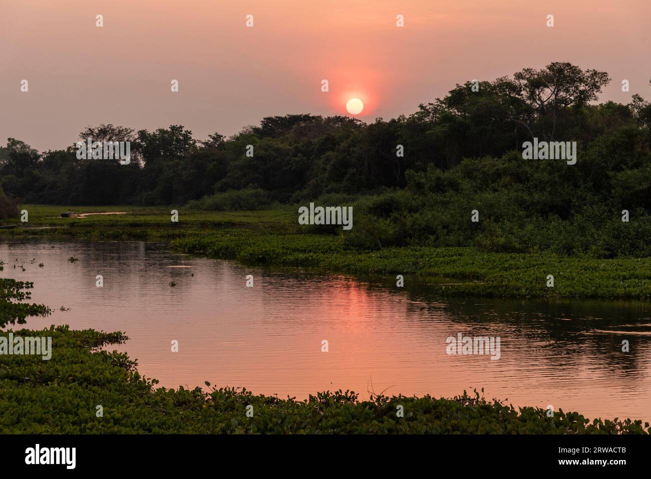 Beautiful sunset landscape by Pixaim River, Pantanal of Poconé, Mato Grosso State, Brazil Stock Photo